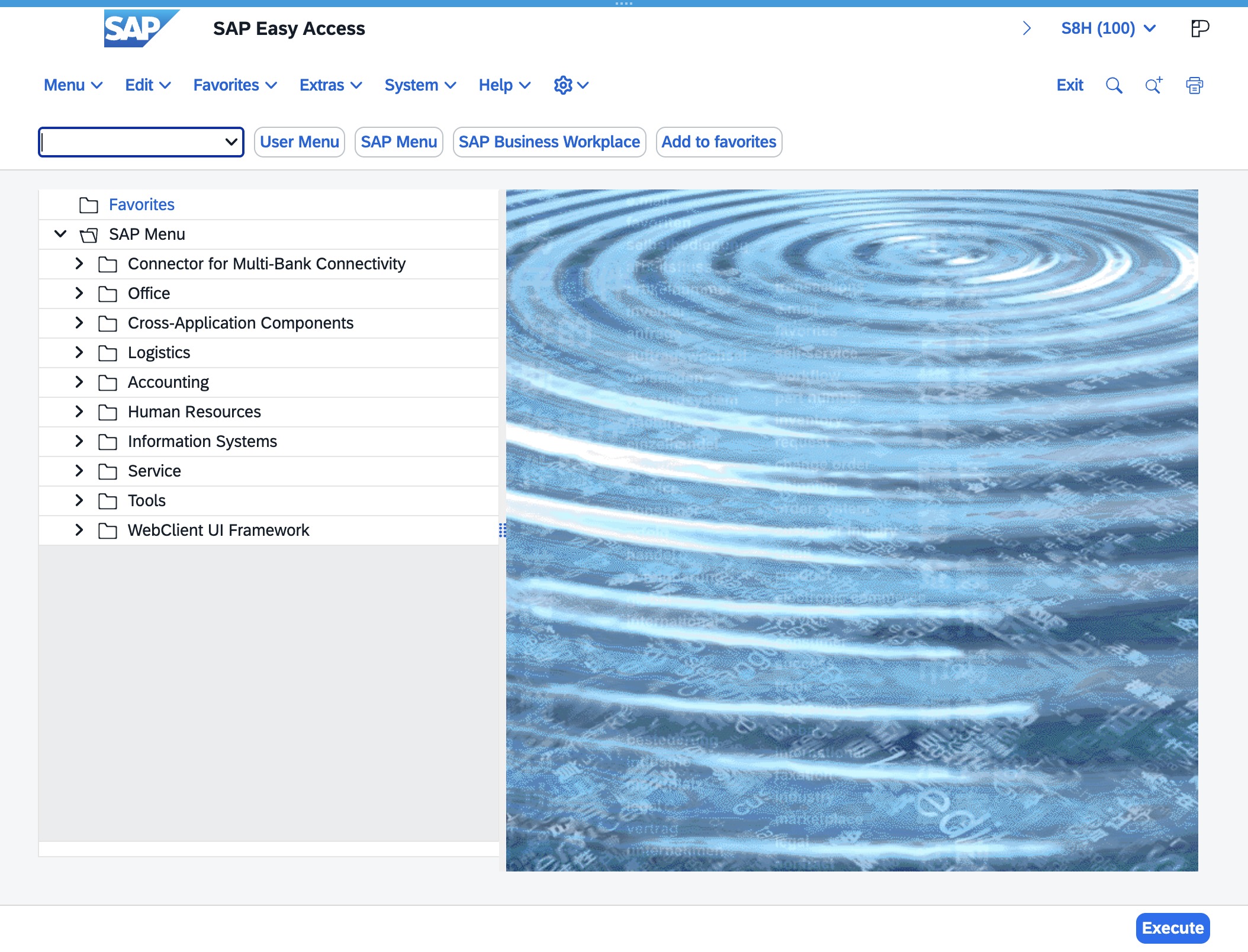 Click the Enter Transaction Code field