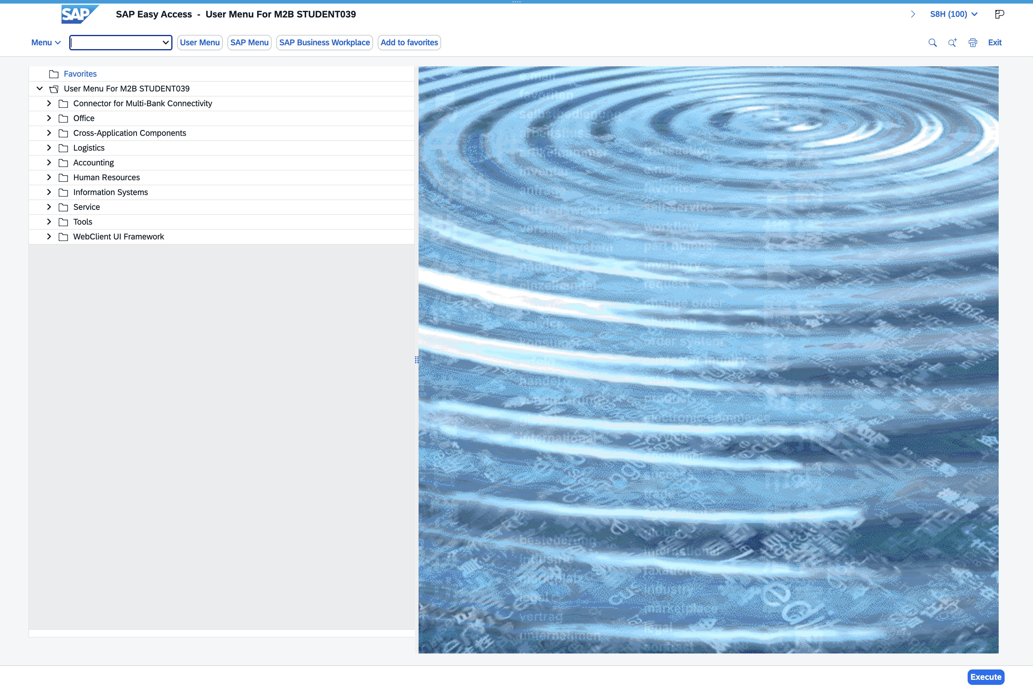 Click the Enter transaction code field