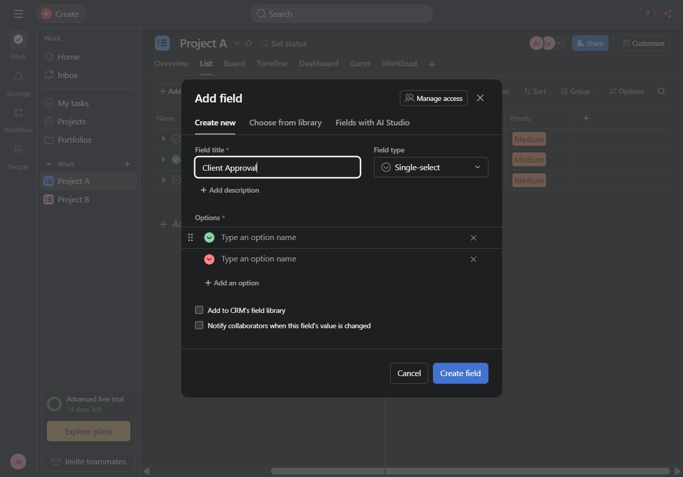 Type 'Client Approval' in the Field Name