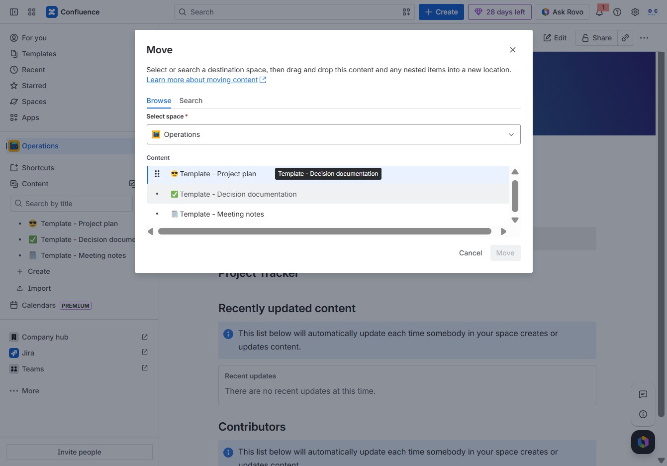 Click the Template - Decision documentation button